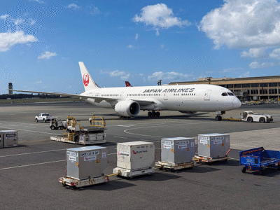 DDP agent for shipping